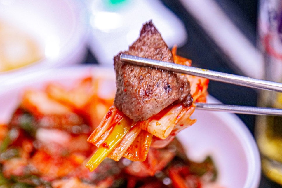 돈그리아 단면
