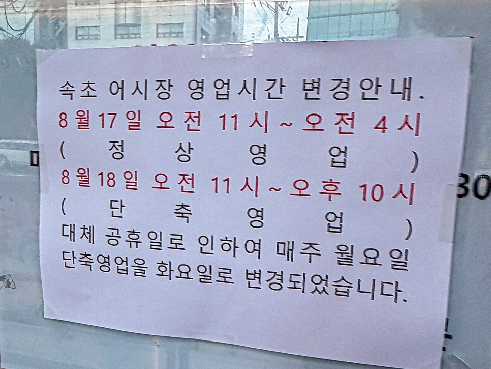 속초오징어어시장 수조